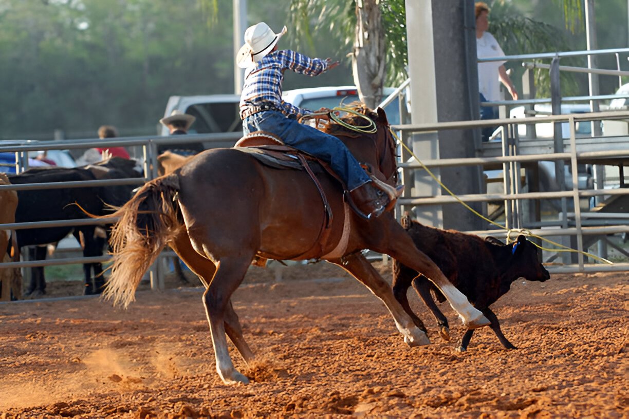 west texas fair and rodeo bronc rider